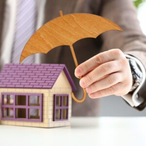 person holding umbrella sculpture over toy house